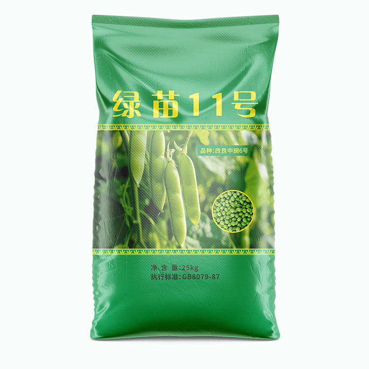豌豆种子白底.jpg